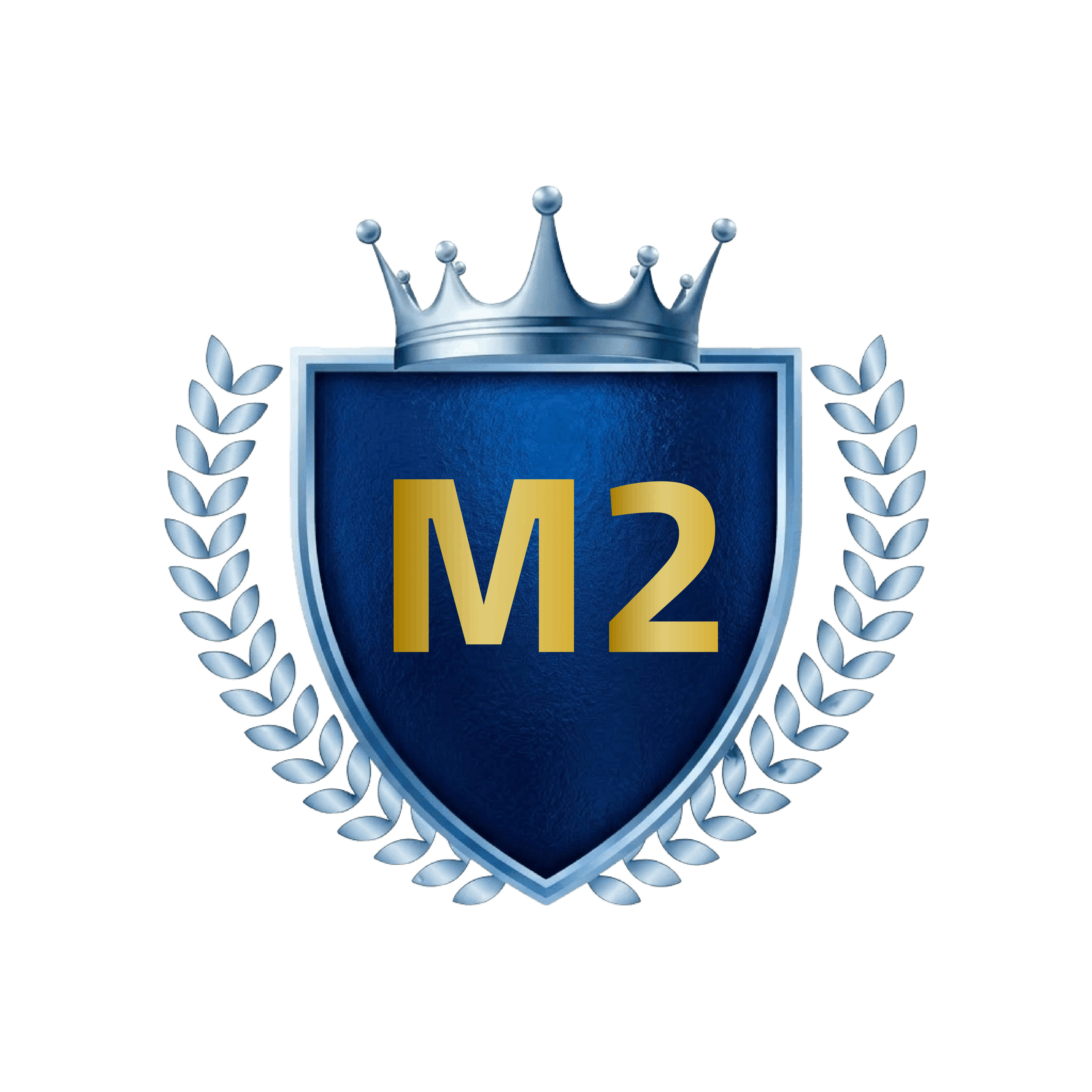 مستوى 2